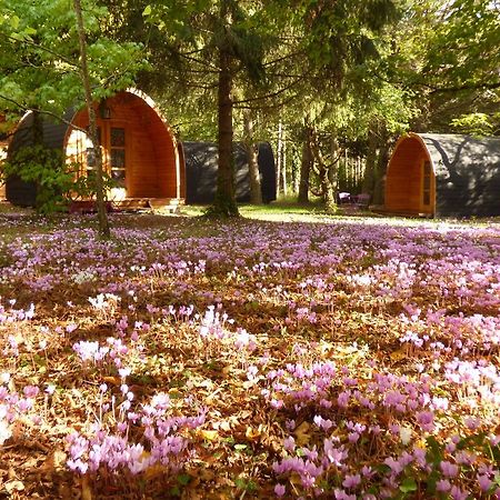 La Rossignolerie - Pod Cabanes Des Chateaux Chouzy-sur-Cisse Bagian luar foto