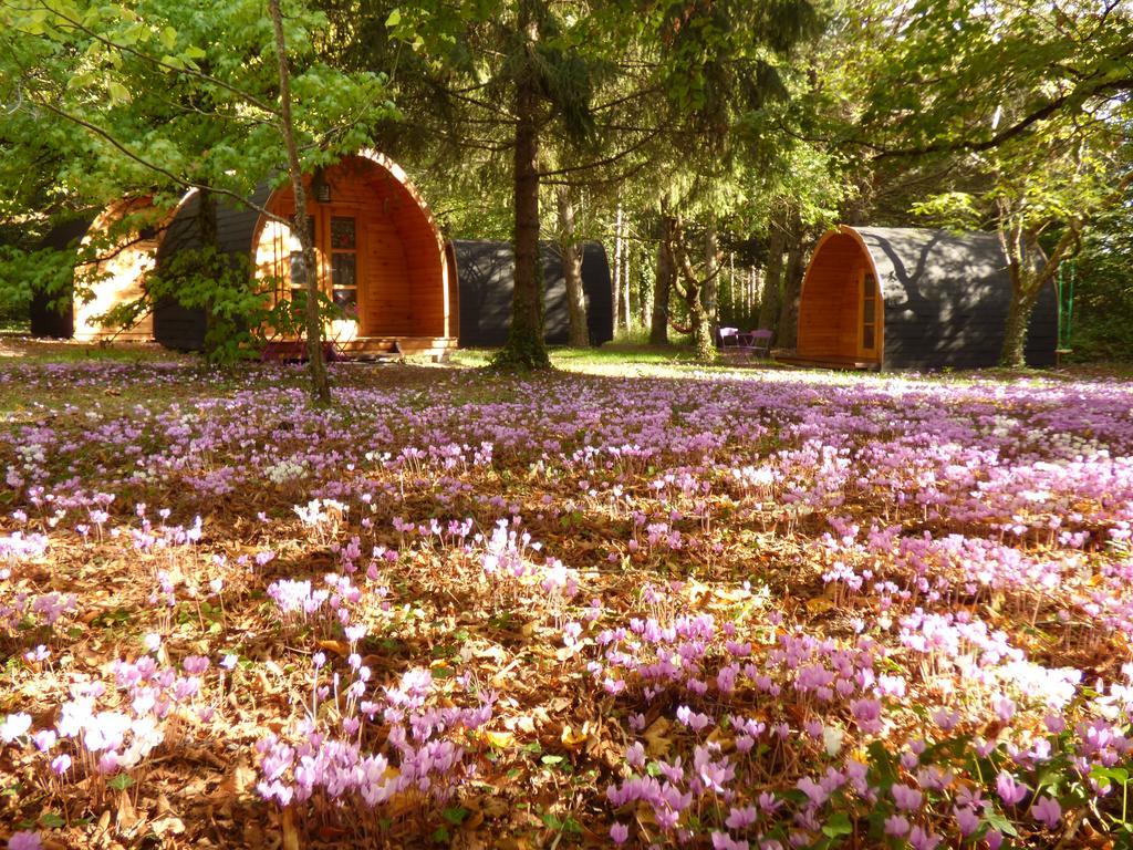 La Rossignolerie - Pod Cabanes Des Chateaux Chouzy-sur-Cisse Bagian luar foto