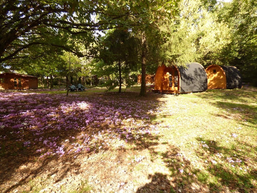La Rossignolerie - Pod Cabanes Des Chateaux Chouzy-sur-Cisse Bagian luar foto