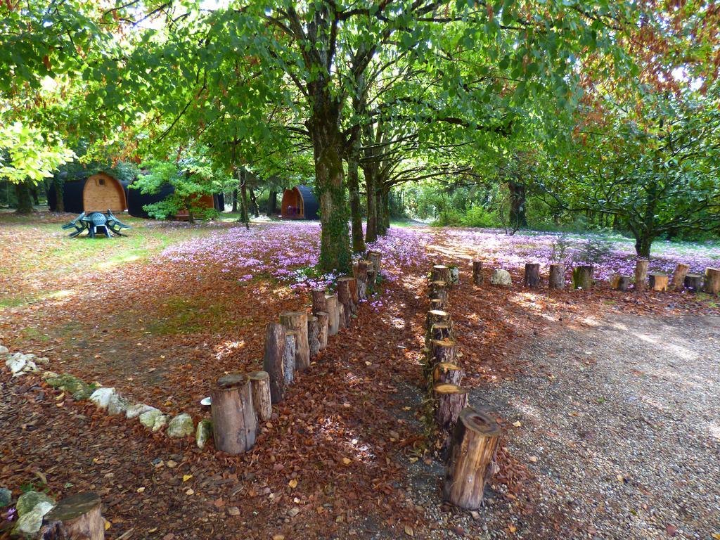 La Rossignolerie - Pod Cabanes Des Chateaux Chouzy-sur-Cisse Bagian luar foto
